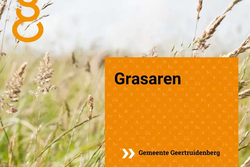 347260712 636750341830198 8147312404698016019 n