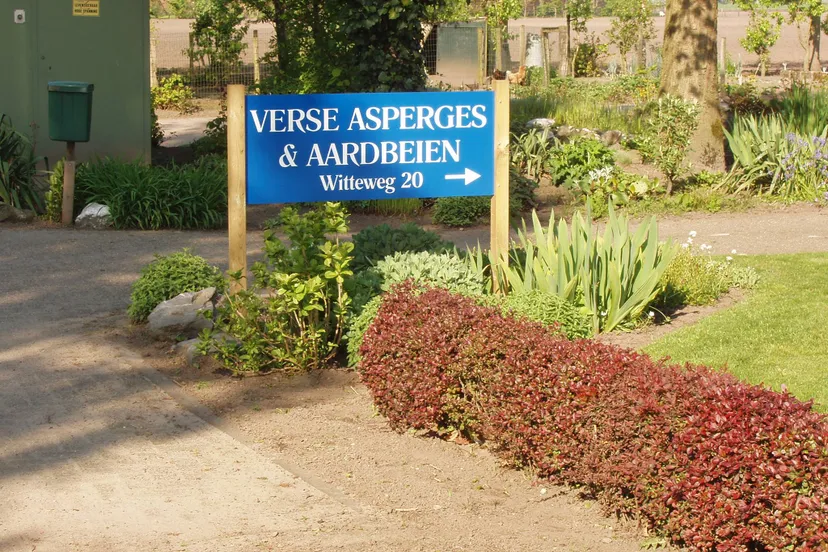 54434083 1027964324059630 1077059995473805312 n