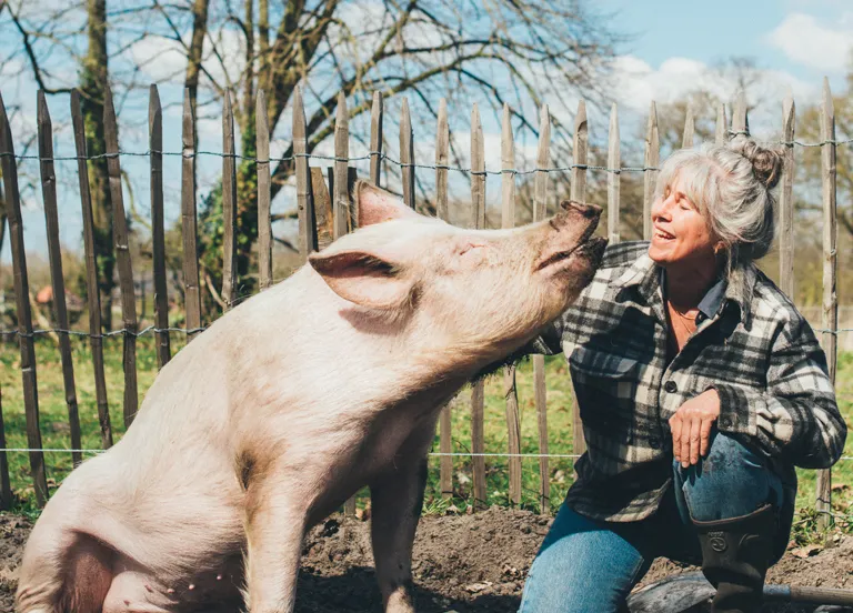 caba2b2c 368d 4c0c a33a 2a4683c90dd7