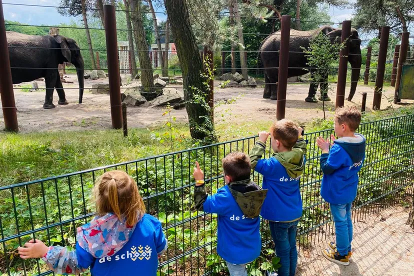 foto 3 beekse bergen