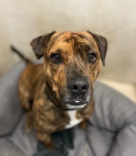 img 3580 e1649748718474