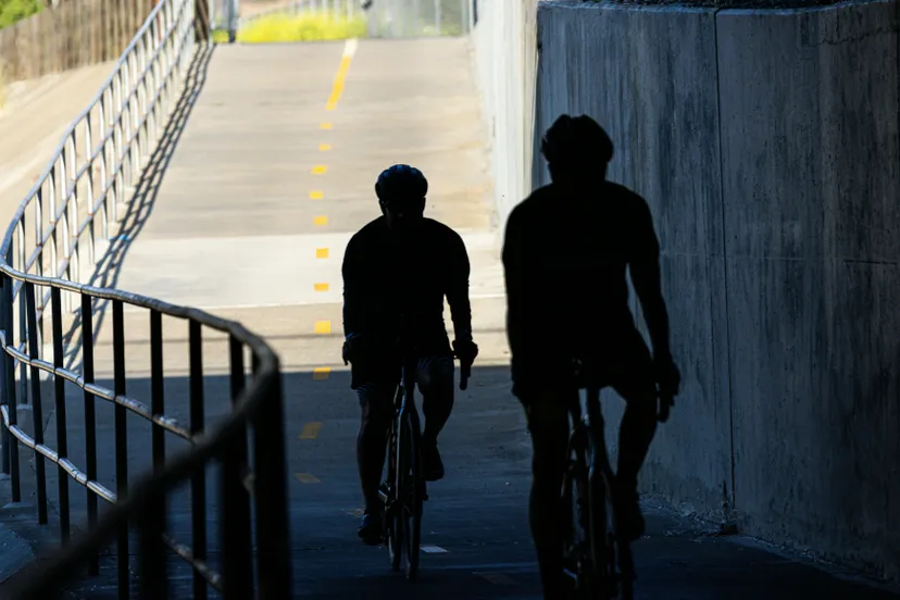 pexels david brown 16922868