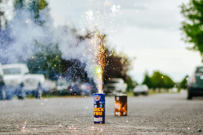 pexels david guerrero 2626106