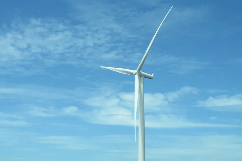 pexels magda ehlers 770562