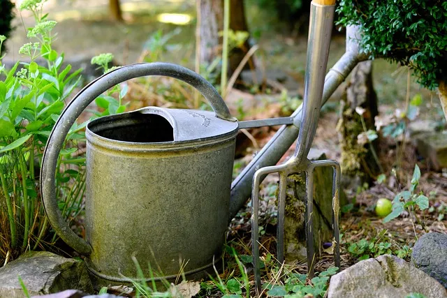 watering can g37c3aee1f 640
