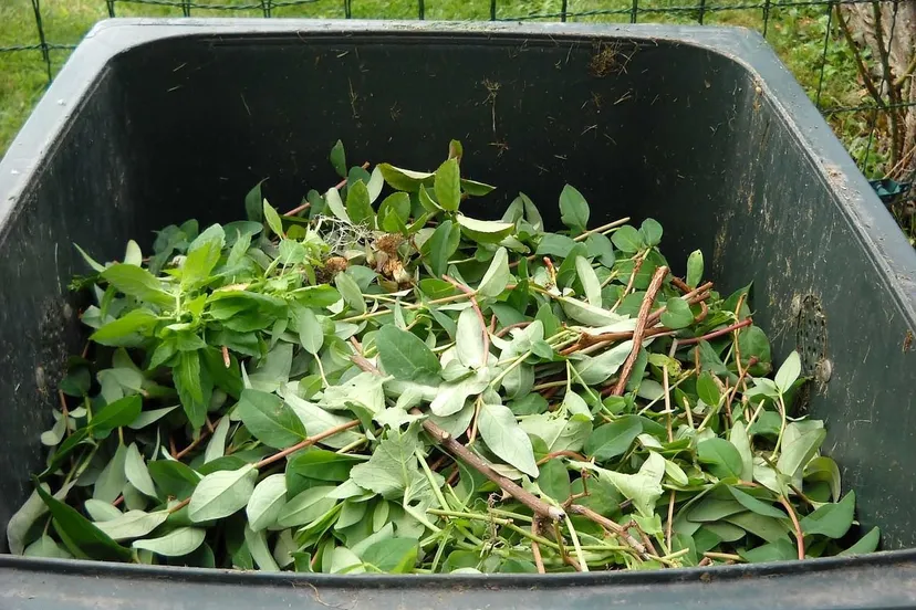 green waste 486011 1280