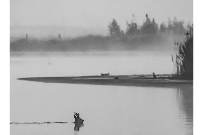 1e prijs martin bijland