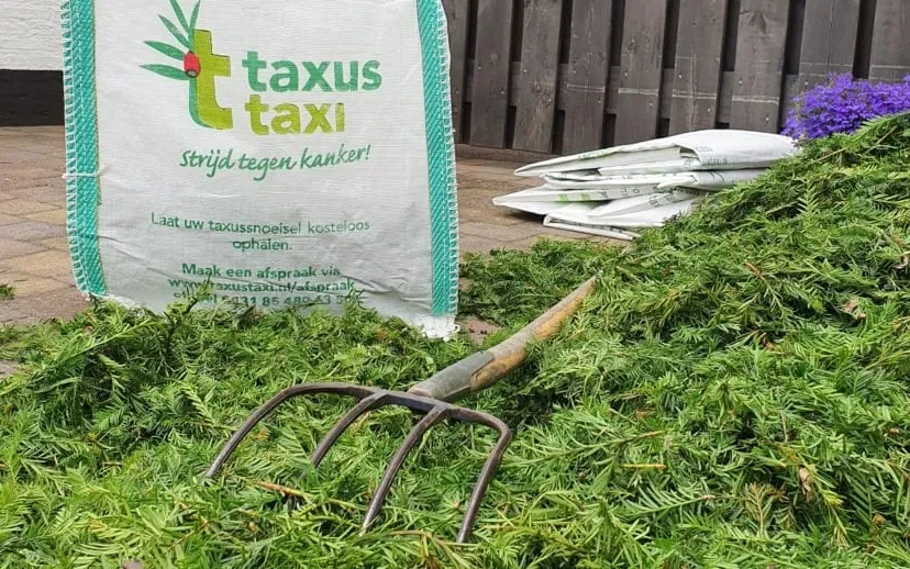 taxus-taxi