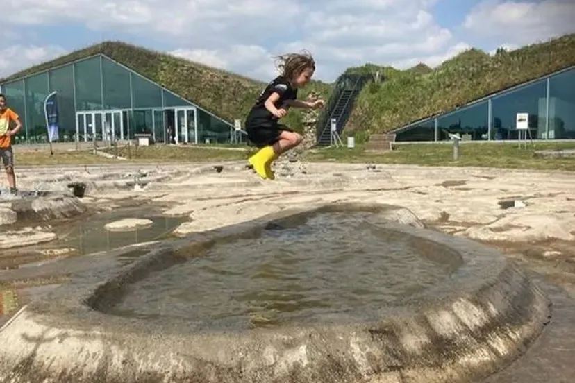 schermafbeelding-2025-10-11-092853-68ea07cc7d6c2