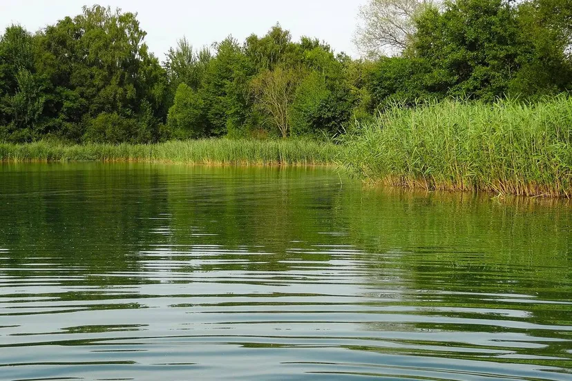 jan-mallander-lake-555829_1280