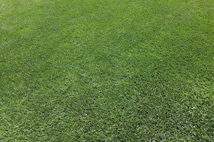 karinkarin-lawn-1390941_1920