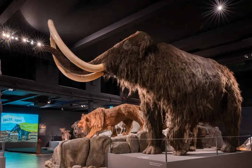 2026_Natuurmuseum Brabant_WILDGROEI_IJstijd