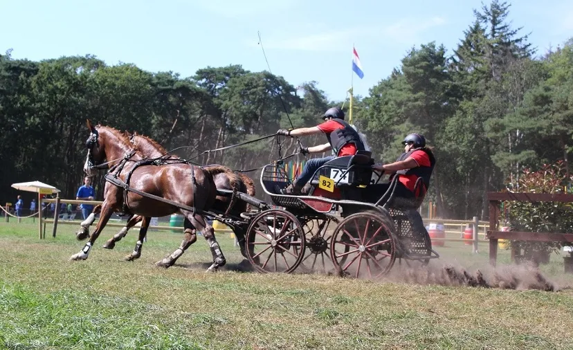 aangespannen dag gilze