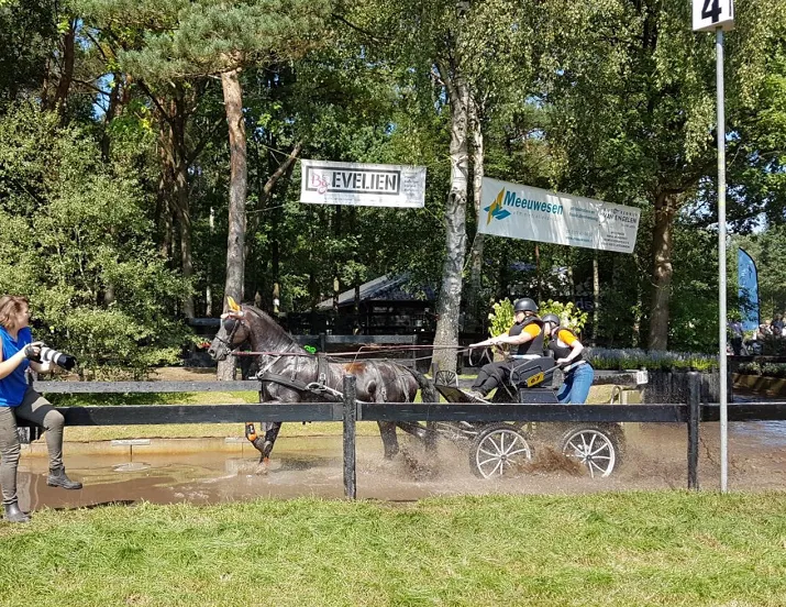 aangespannen dag gilze