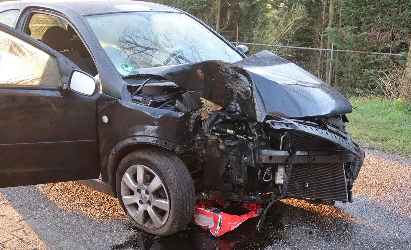 auto tegen boom molenschot