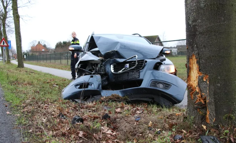 auto tegen boom