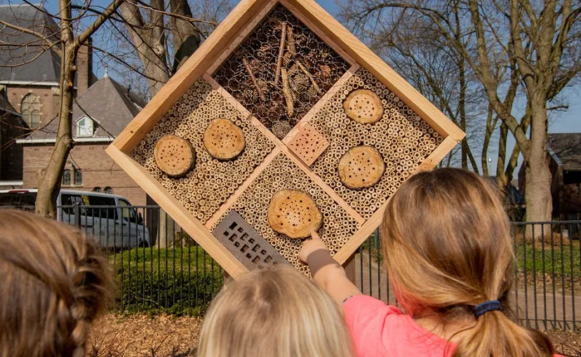 beeld omslag perspectiefnota23128