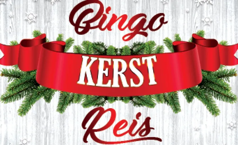 bingo kerst reis 896