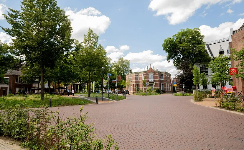bisschopvetplein 5sprong 2421475