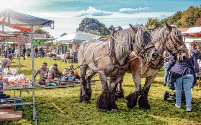 boerenfair23 915x518 1