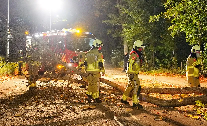 boom over de weg statenlaan