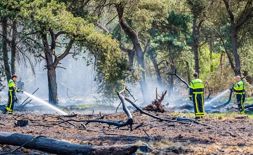 bosbrand jack brekelmans