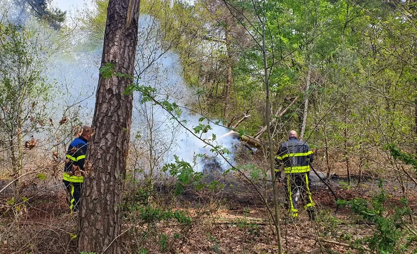 bosbrand sportparkweg