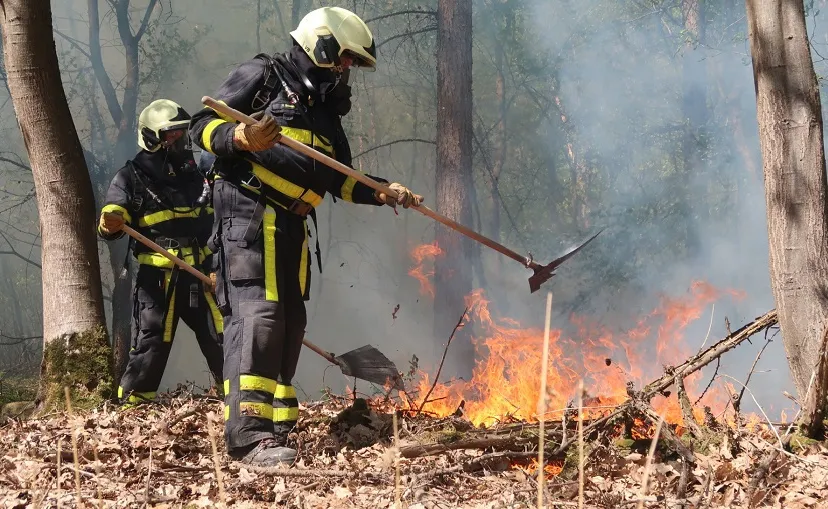 bosbrand vijf eikenweg
