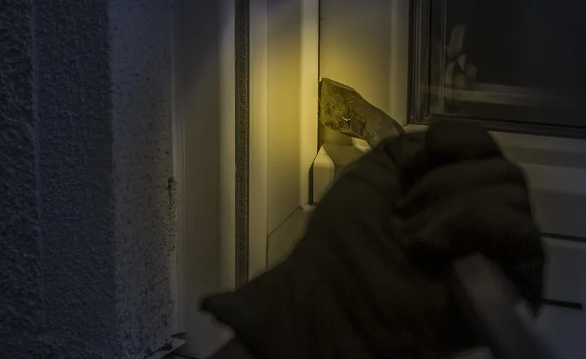 burglar gb729d7377 1920