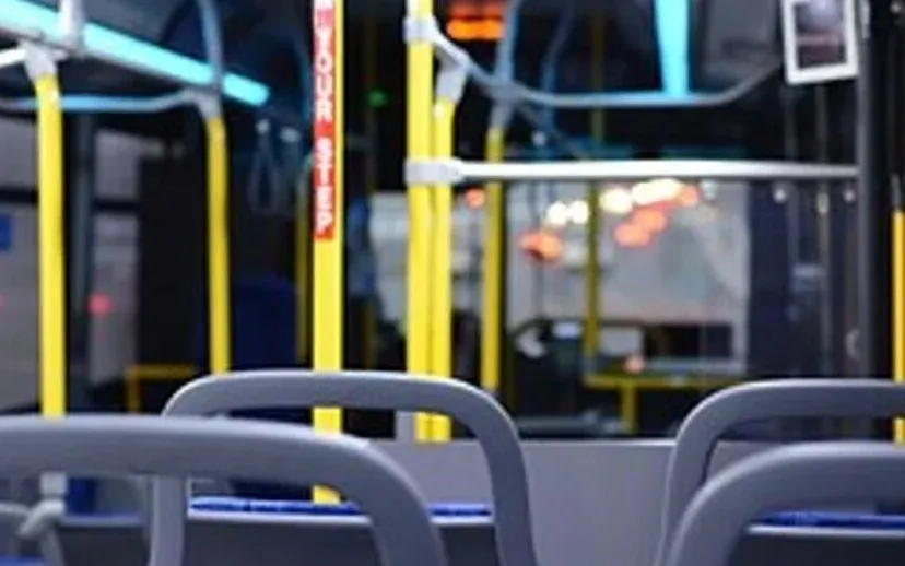 bus 1263266 180 915x518 1