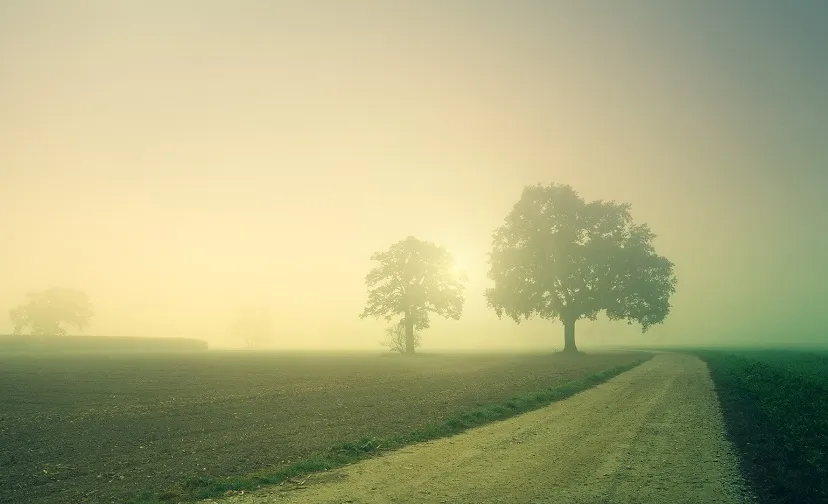 dawn g16f58dfeb 1920