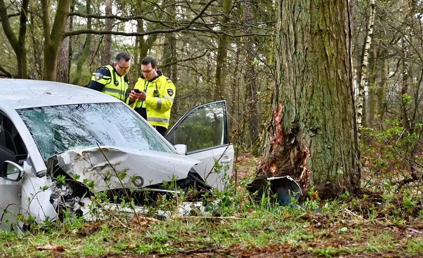 dodelijk ongeluk gilze