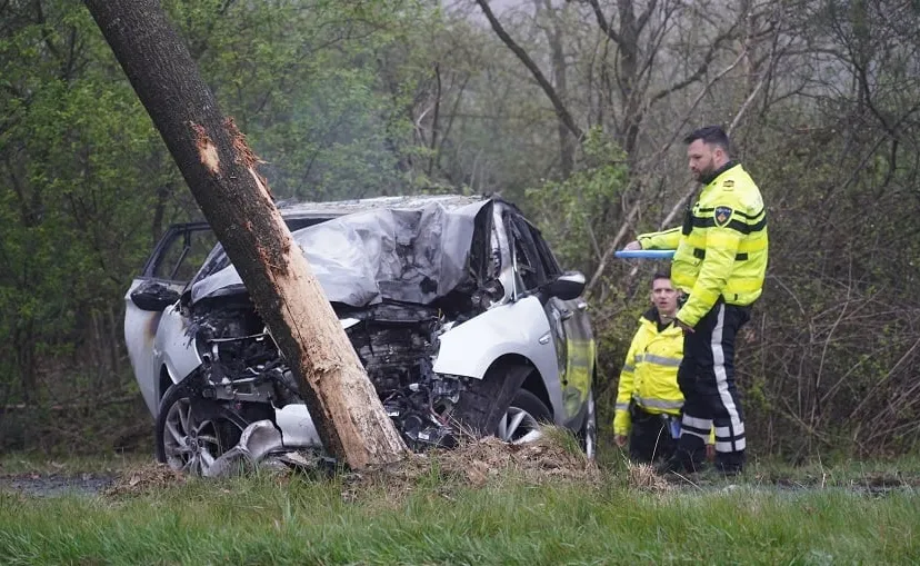 dodelijk ongeval molenschot