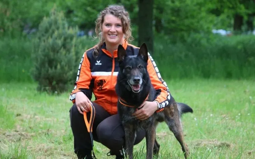 dogtraining1 915x518 3