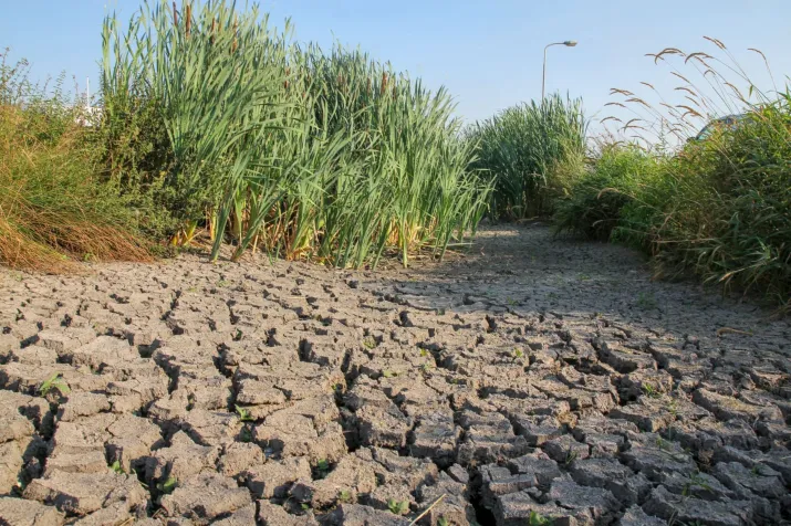 droogte 1