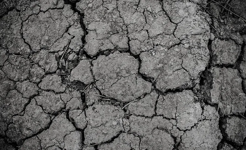 droogte