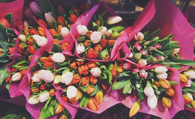 flowers 1245820 1920