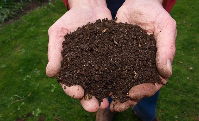 fresh 2386786 1920 1