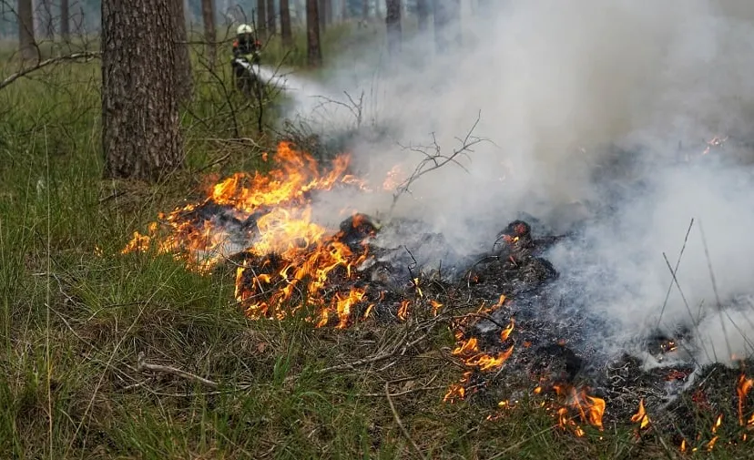 grote brand chaamse bossen