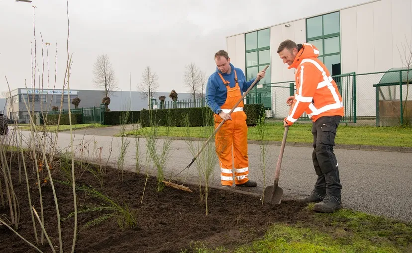 haansbergbeplanting 1218738