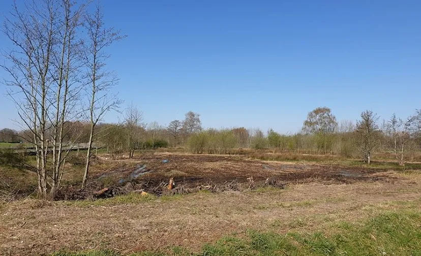 hannie schaftlaan water opvang