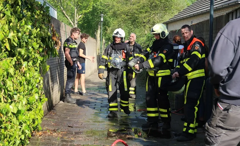 heg in brand