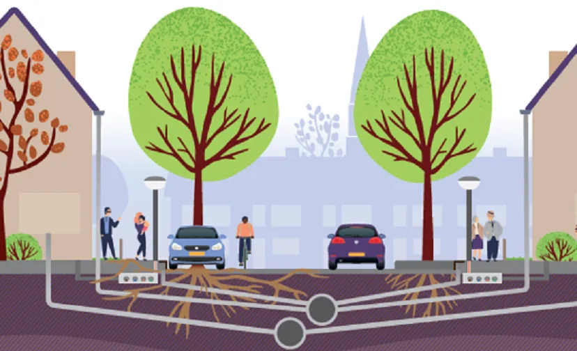 herinrichting rijen noord oost