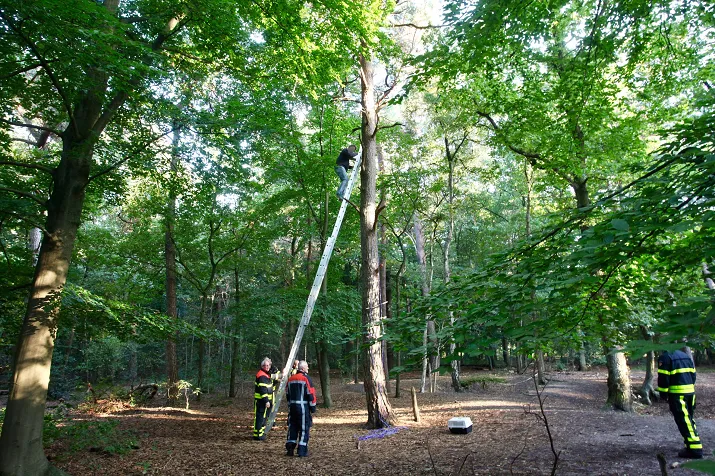 man in boom kampstraat rijen