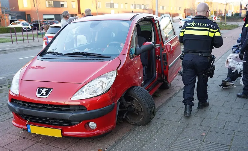 mary zeldenrustlaan 1