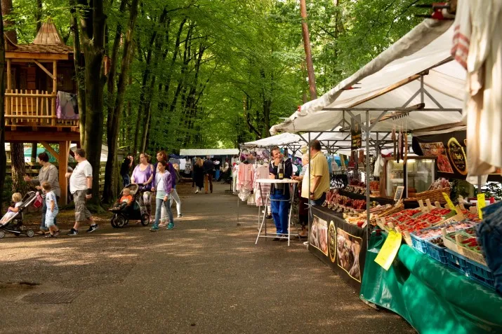 mastendoljuni2018 19 715