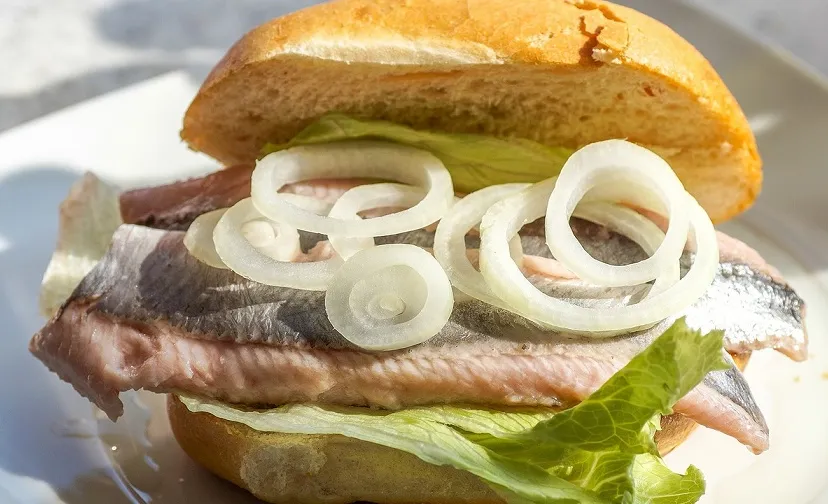 maties g117f44c07 1280