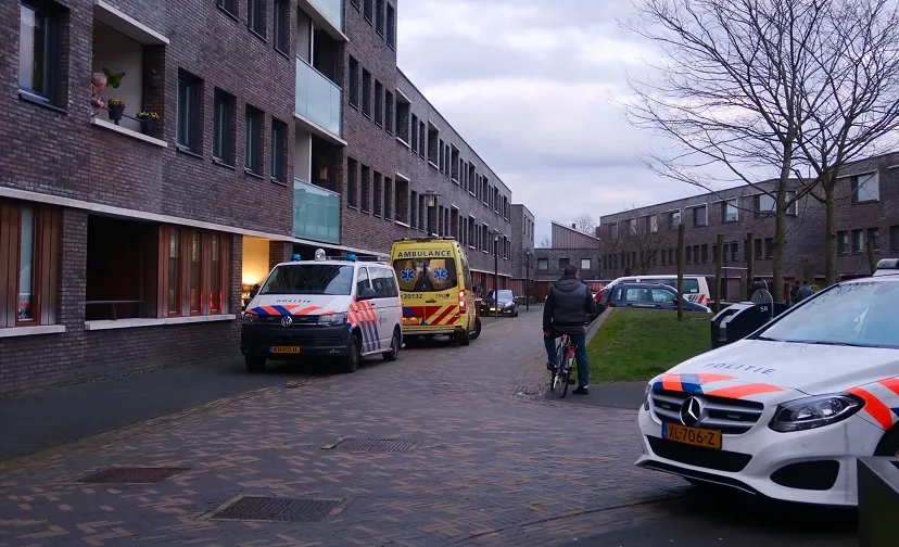overval rijen 2