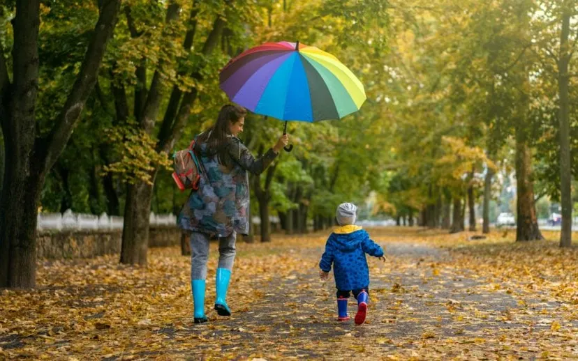 pexels oleksandr p 12932604 915x518 1