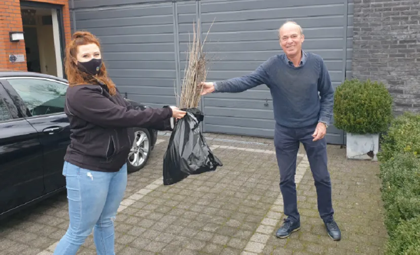 planten actie